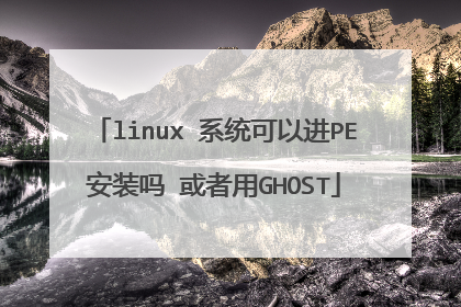 linux 系统可以进PE安装吗 或者用GHOST