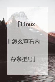 linux上怎么查看内存条型号