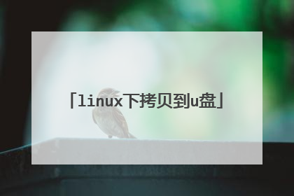 linux下拷贝到u盘