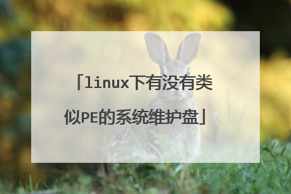linux下有没有类似PE的系统维护盘