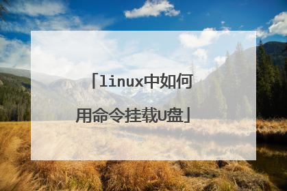 linux中如何用命令挂载U盘
