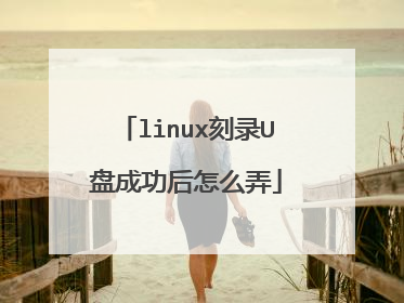 linux刻录U盘成功后怎么弄