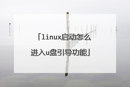 linux启动怎么进入u盘引导功能