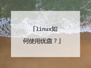 linux如何使用优盘?