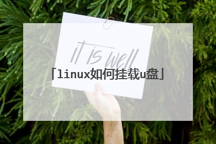 linux如何挂载u盘
