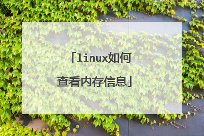 linux如何查看内存信息