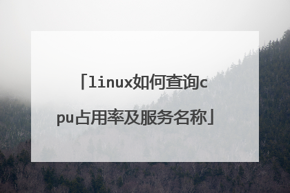 linux如何查询cpu占用率及服务名称