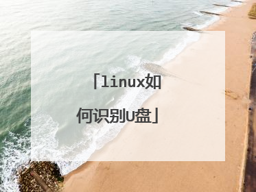 linux如何识别U盘