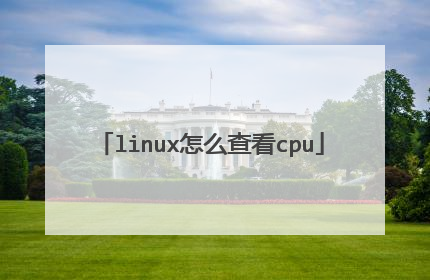 linux怎么查看cpu