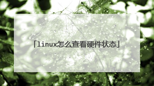 linux怎么查看硬件状态