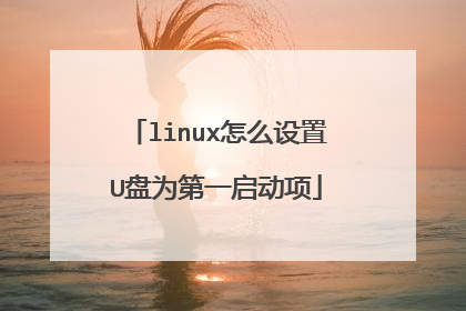 linux怎么设置U盘为第一启动项