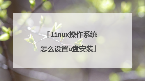 linux操作系统怎么设置u盘安装