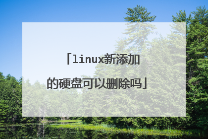 linux新添加的硬盘可以删除吗