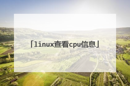 linux查看cpu信息