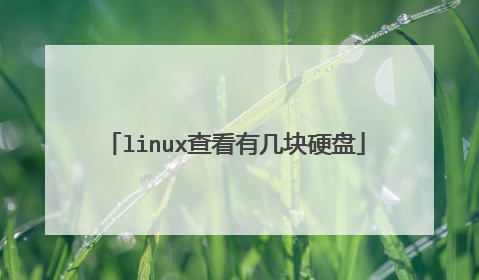 linux查看有几块硬盘