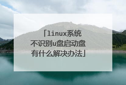linux系统不识别u盘启动盘有什么解决办法