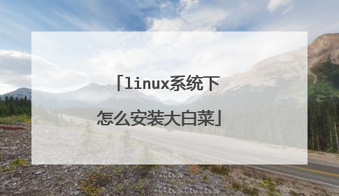 linux系统下怎么安装大白菜