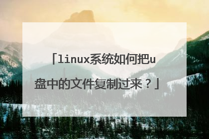 linux系统如何把u盘中的文件复制过来?