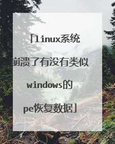 linux系统崩溃了有没有类似windows的pe恢复数据