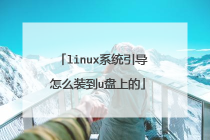 linux系统引导怎么装到u盘上的