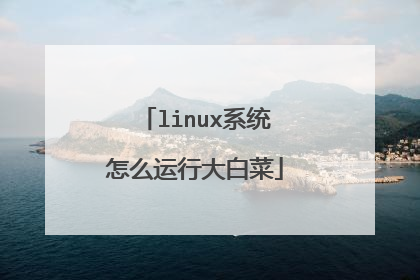 linux系统怎么运行大白菜