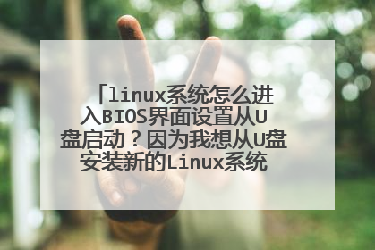 linux系统怎么进入BIOS界面设置从U盘启动?因为我想从U盘安装新的Linux系统?每次启动Linux就是下面的界面