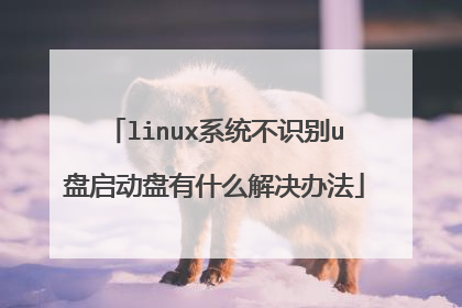linux系统不识别u盘启动盘有什么解决办法