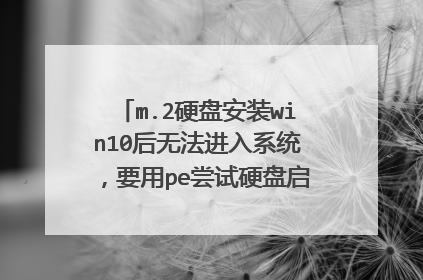 m.2硬盘安装win10后无法进入系统，要用pe尝试硬盘启动才行 F12那里开机启动项选择没用