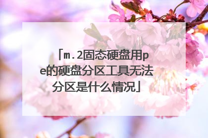 m.2固态硬盘用pe的硬盘分区工具无法分区是什么情况