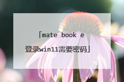 mate book e登录win11需要密码