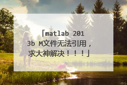 matlab 2013b M文件无法引用,求大神解决!!!