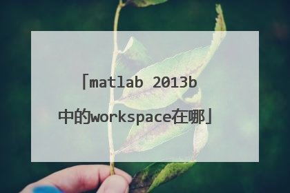 matlab 2013b 中的workspace在哪