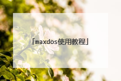 maxdos使用教程