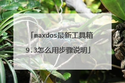 maxdos最新工具箱9.3怎么用步骤说明