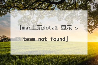 mac上玩dota2 显示 steam not found