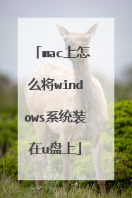 mac上怎么将windows系统装在u盘上