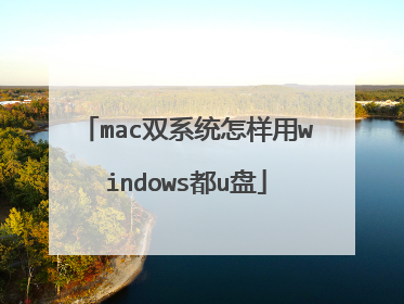 mac双系统怎样用windows都u盘