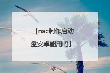 mac制作启动盘安卓能用吗