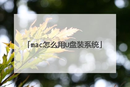 mac怎么用U盘装系统