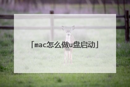mac怎么做u盘启动