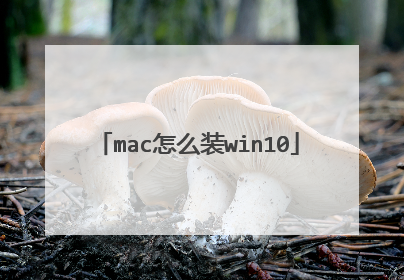 mac怎么装win10