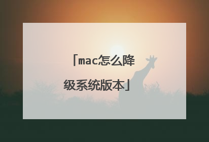 mac怎么降级系统版本