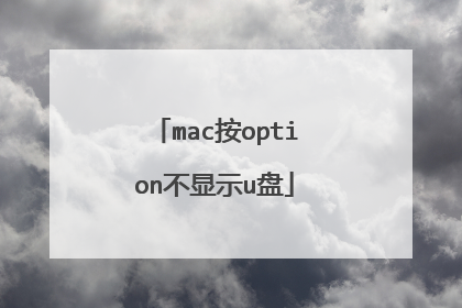 mac按option不显示u盘