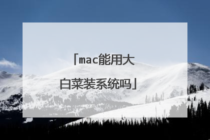 mac能用大白菜装系统吗