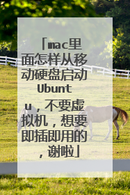 mac里面怎样从移动硬盘启动Ubuntu，不要虚拟机，想要即插即用的，谢啦