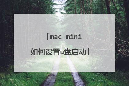 mac mini如何设置u盘启动