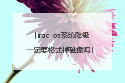 mac os系统降级 一定要格式掉磁盘吗