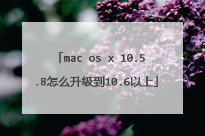 mac os x 10.5.8怎么升级到10.6以上