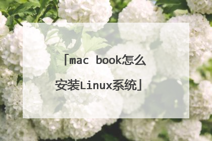 mac book怎么安装Linux系统