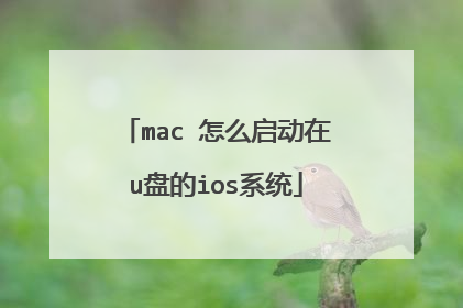 mac 怎么启动在u盘的ios系统